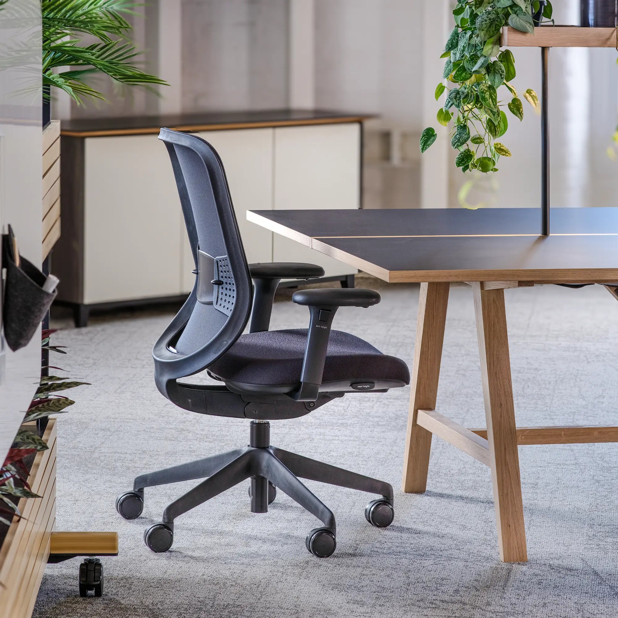 Without headrest / Mesh Black/Era Onyx CSE14