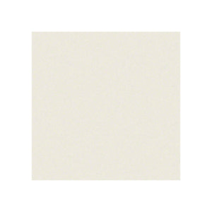 Melamine Snow WY/Paint Pearl Snow ZW